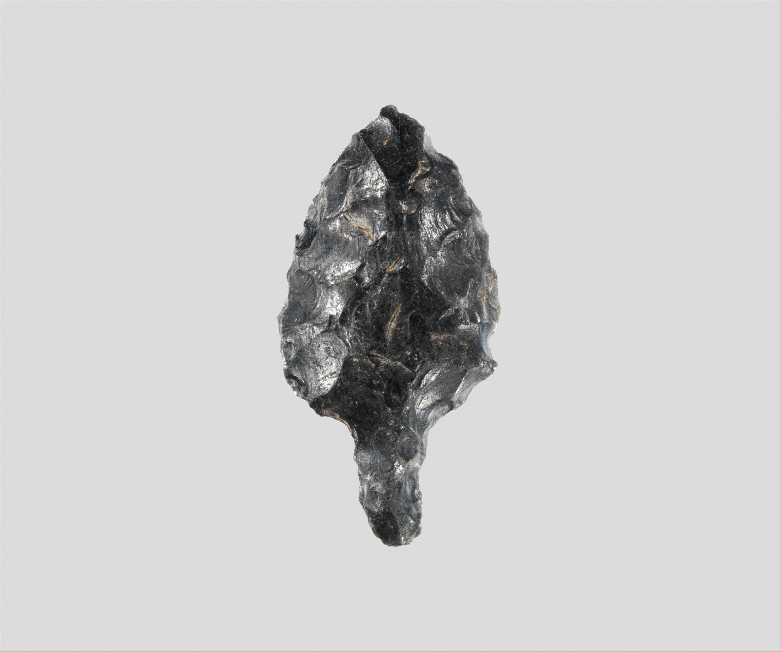 Dark, leaf-shaped volcanic glass object with jagged edges